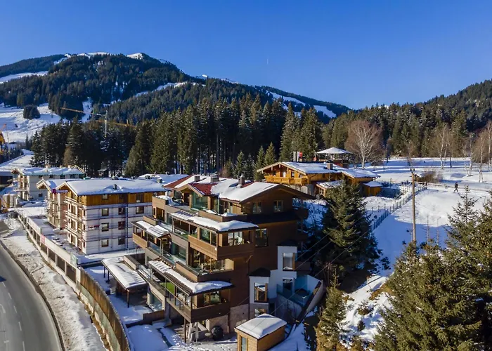 Kitzbueheler Alpenlodge A3 * Mittersill